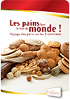 painregion painregion